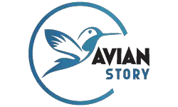 Avian Story