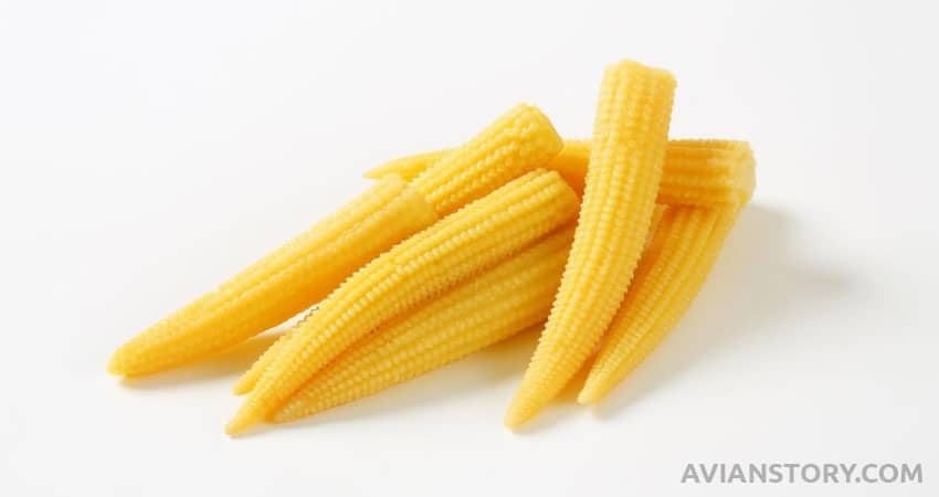 Baby corn