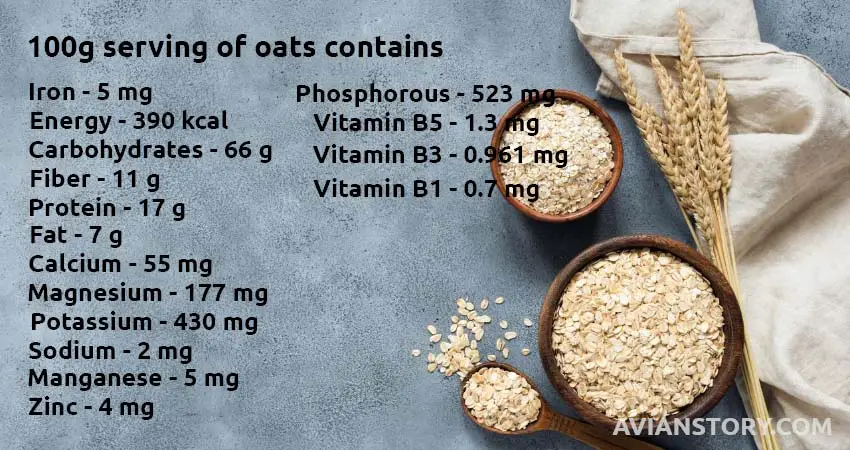 For cockatiel 100g serving of oats contains