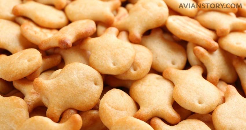 Goldfish cracker for Cockatiels