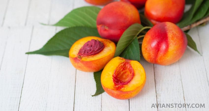 Nectarines