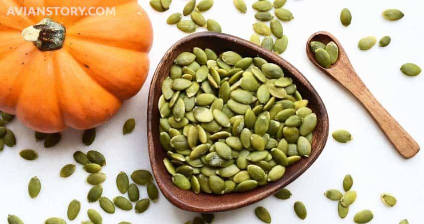 Pumpkin Seeds for parakeet