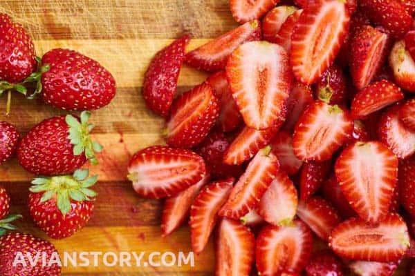 How to Feed Strawberries to Finches