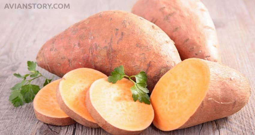 Sweet potato for parakeet