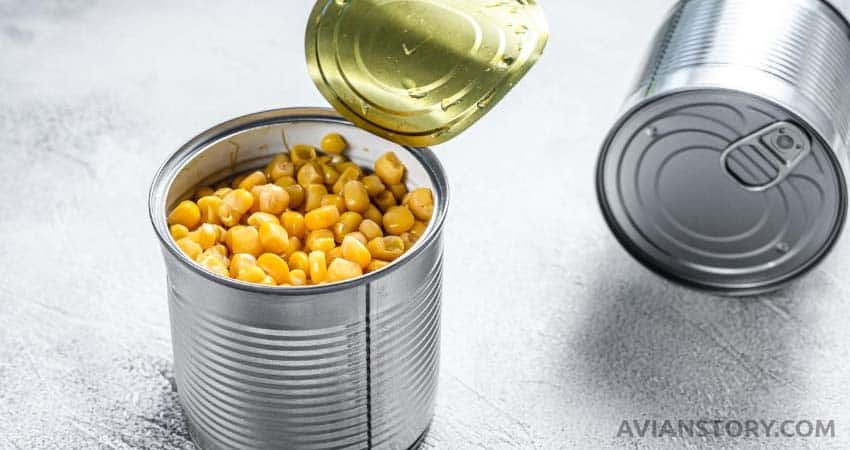 Canned Corn