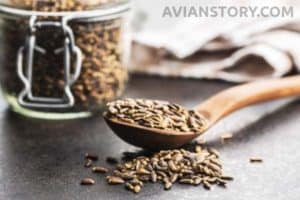 Finches Not Eating Thistle Seeds: An Insight