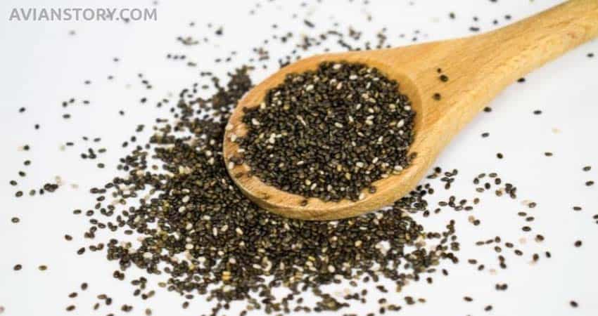 chia seed