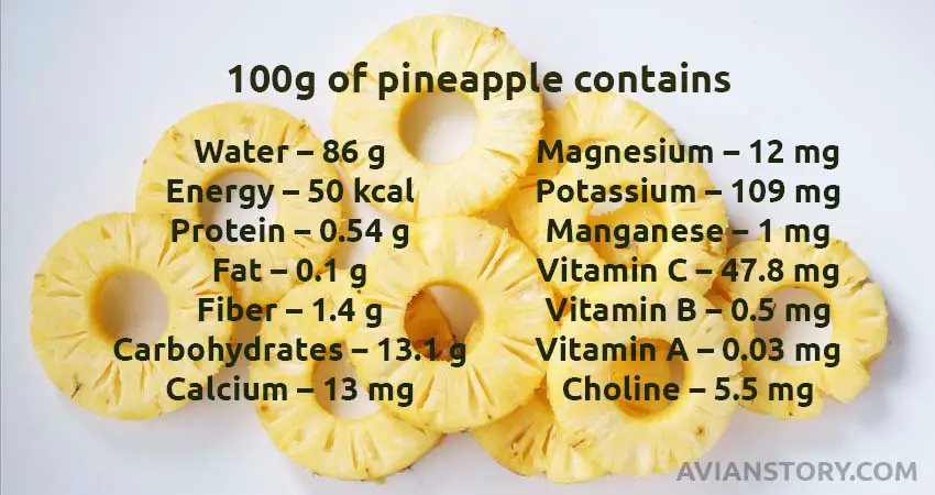 100g of pineapple contains for Cockatiels