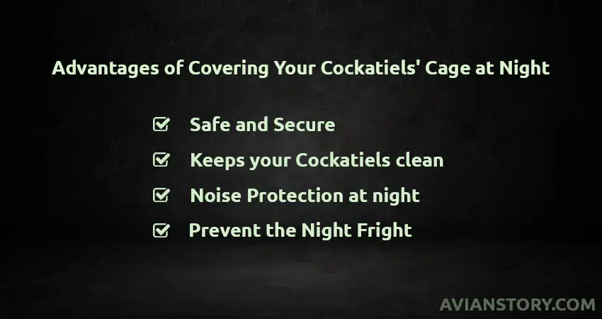 Advantages of Covering Your Cockatiels’ Cage at Night