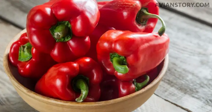 How Do You Feed Bell Peppers To Budgies?