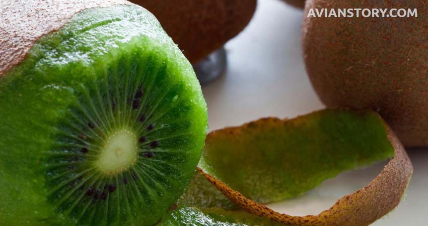 Can Cockatiels Eat Kiwi Skin?