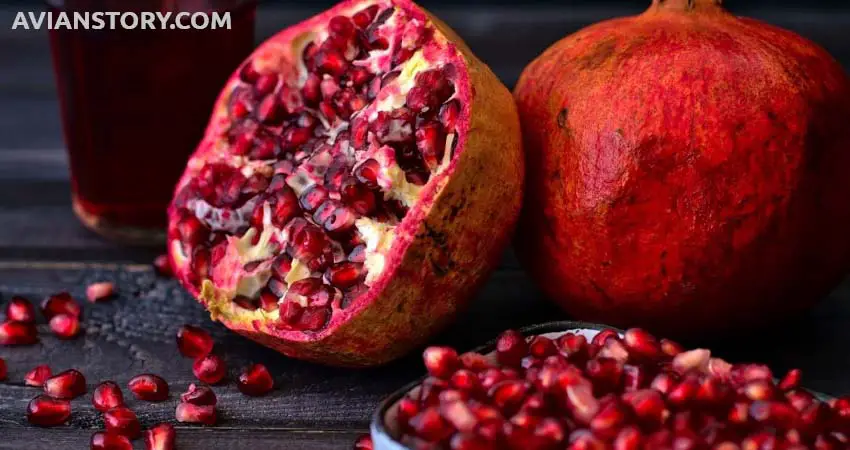 Can You Feed Pomegranate To Your Pet Cockatiels?