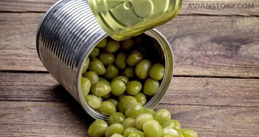 Canned peas for Cockatiel
