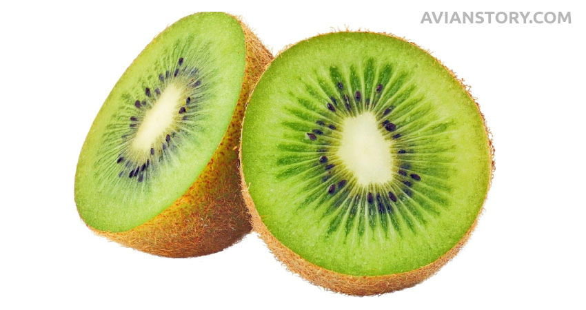 How Should You Prepare Kiwi For Your Cockatiels