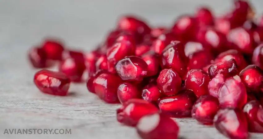 How often should budgies eat pomegranate?