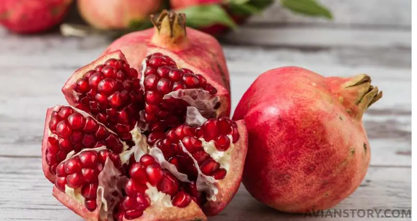 How to Prepare Pomegranate for Your Budgie?