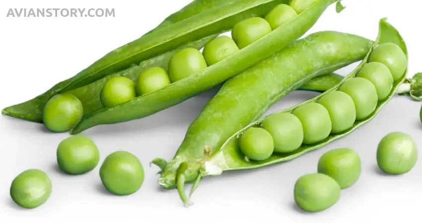 Peas for Cockatiels