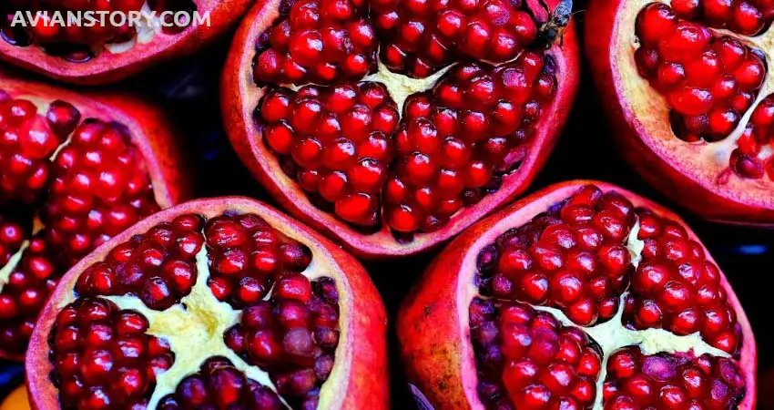 Risk Factor For Cockatiels Eating Pomegranate