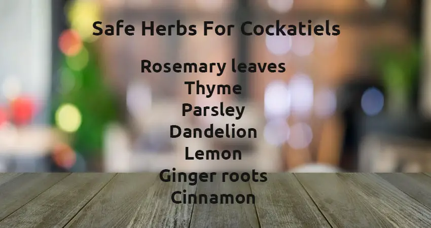 Safe Herbs For Cockatiels