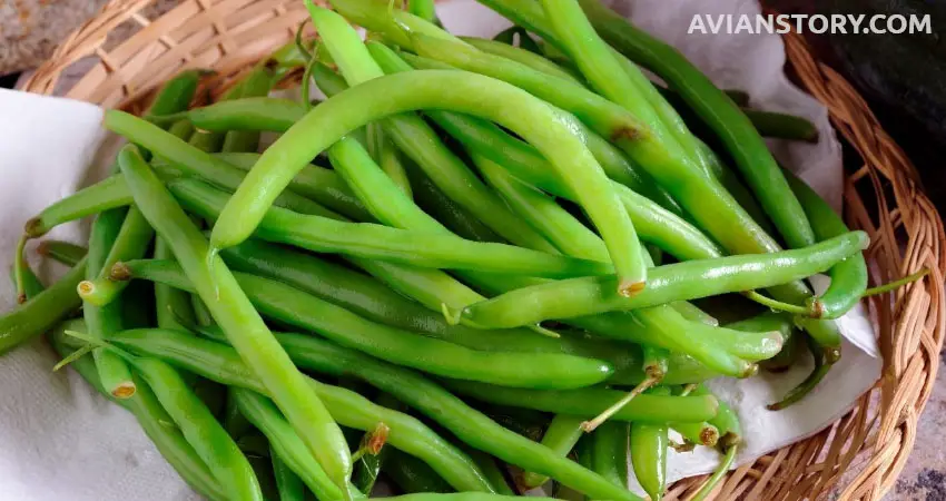 Should Green Beans Be Served Cooked Or Raw?