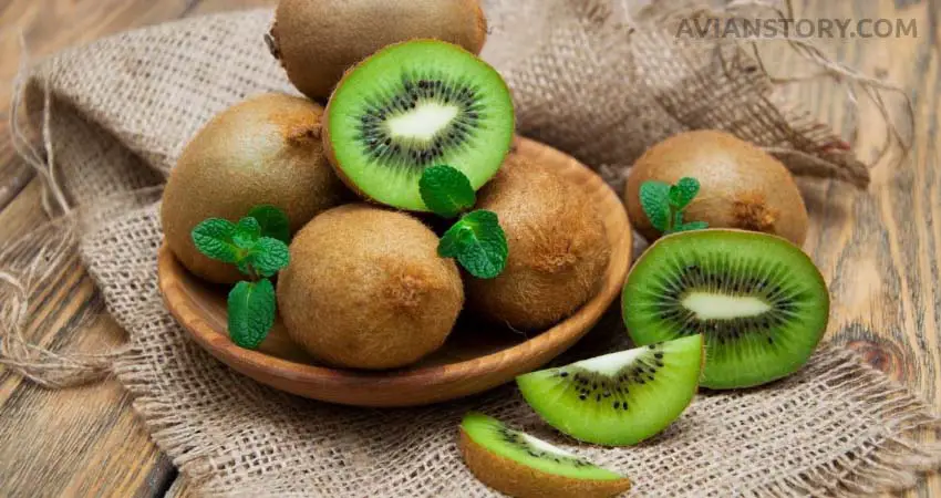 Why Should You Give Your Cockatiel Fresh Fruit, Such As A Kiwi?