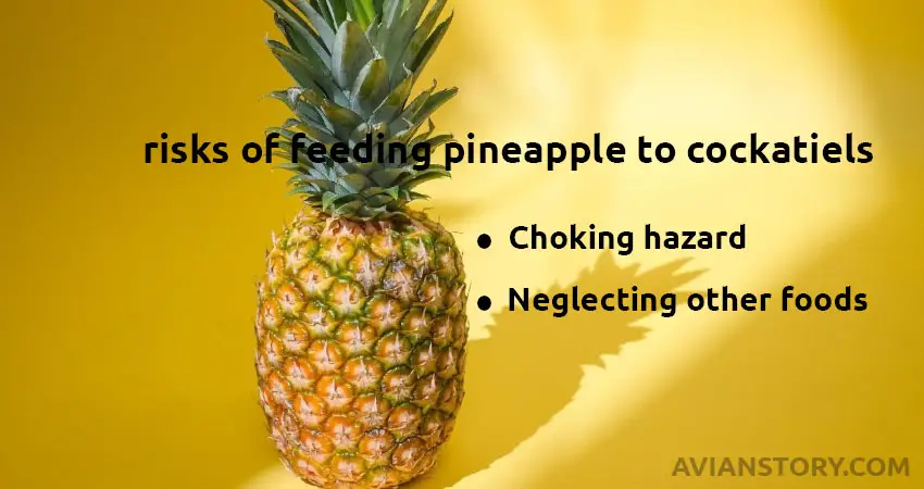 What are the risks of feeding pineapple to cockatiels?