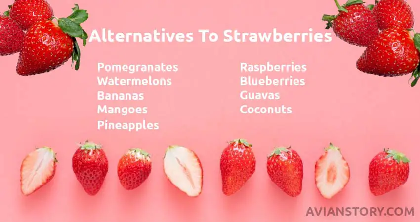 Alternatives To Strawberries