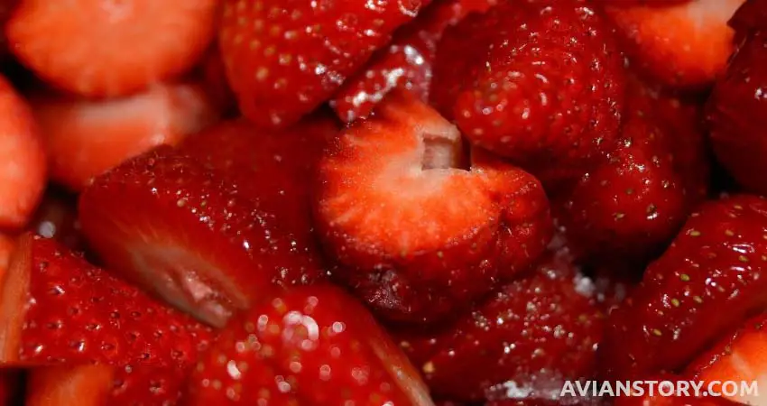 Can Budgies Eat Strawberries?