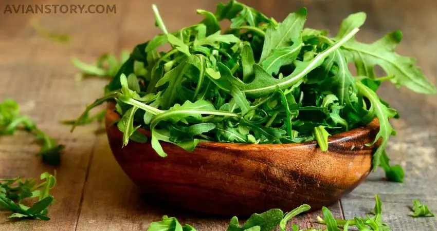 Does Feeding Arugula to Birds Have Any Drawbacks