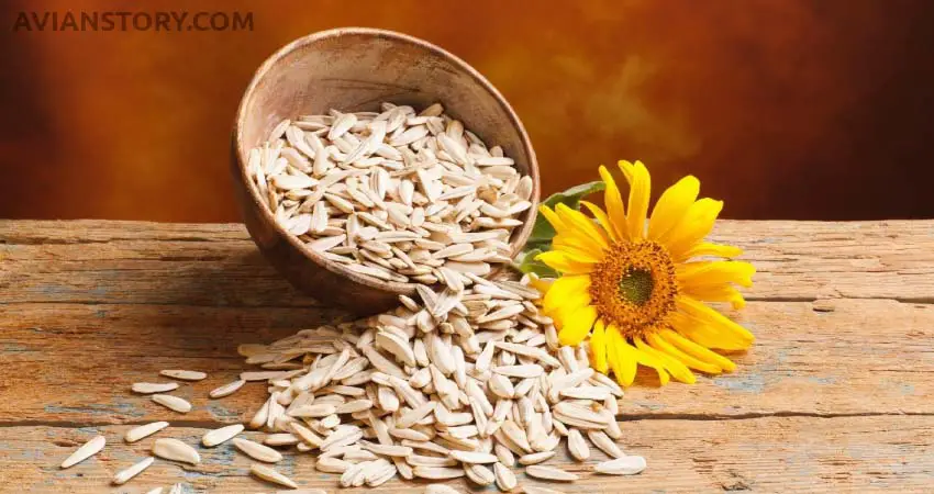 How Should You Prepare Sunflower Seeds For Your Budgies