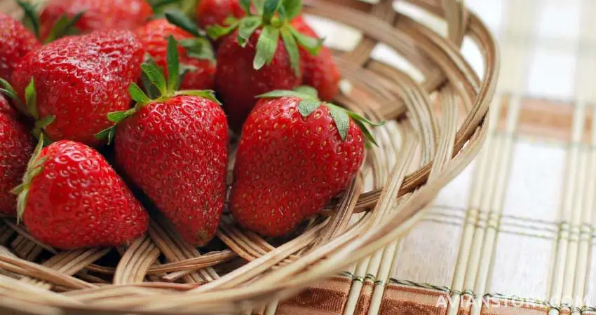 What Is The Nutritional Content of Strawberries