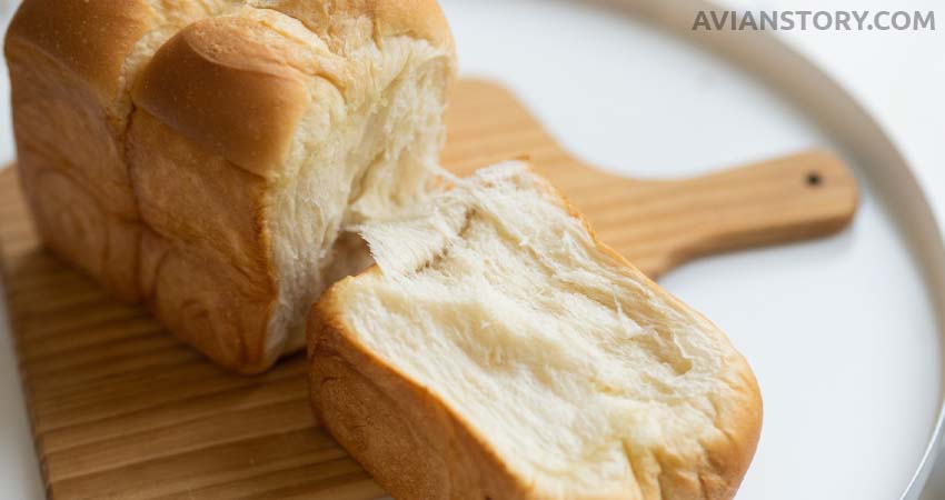 Do Cockatiels Eat Bread