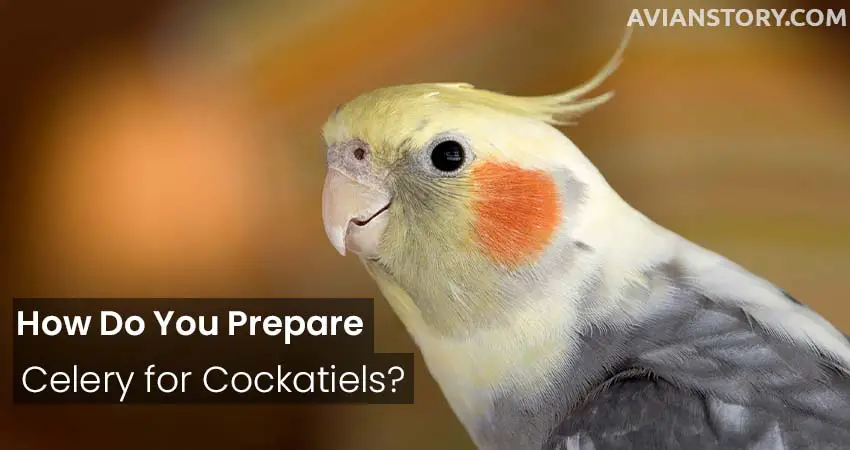 How Do You Prepare Celery for Cockatiels