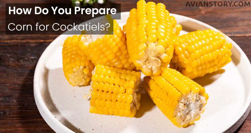 How Do You Prepare Corn for Cockatiels