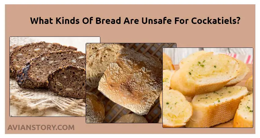 What Kinds Of Bread Are Unsafe For Cockatiels