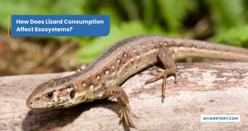 How Does Lizard Consumption Affect Ecosystems