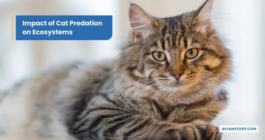 Impact Of Cat Predation On Ecosystems.webp