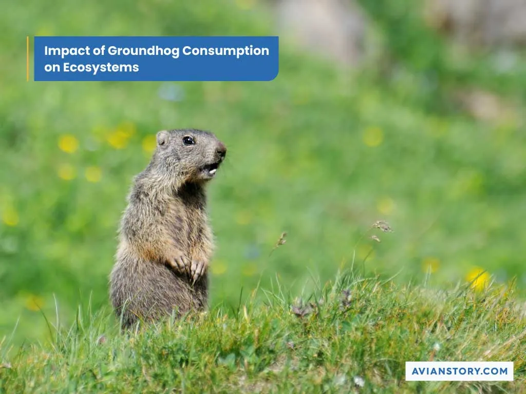 Do Hawks Eat Groundhogs? Discover the Impressing Reality! 6