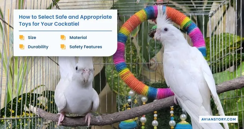 Toys for A Cockatiel: A Comprehensive Guide to Pick The Right Toy 2