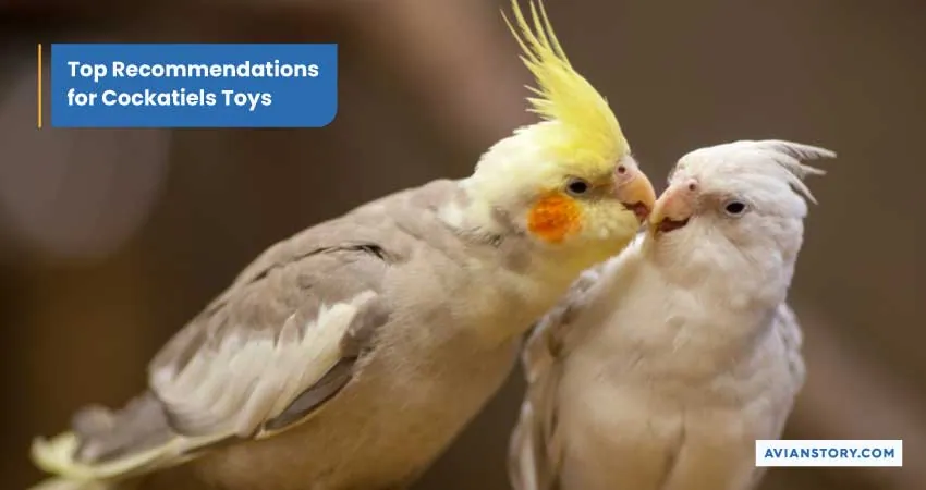 Toys for A Cockatiel: A Comprehensive Guide to Pick The Right Toy 3