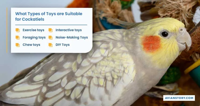 Toys for A Cockatiel: A Comprehensive Guide to Pick The Right Toy 1