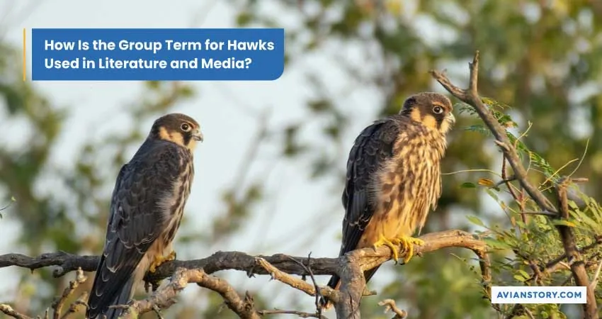 What Is a Group of Hawks Called? Unraveling Avian Terminology 4