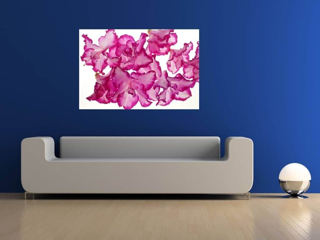 Above Couch Wall Decor Ideas to Elevate Your Room 11