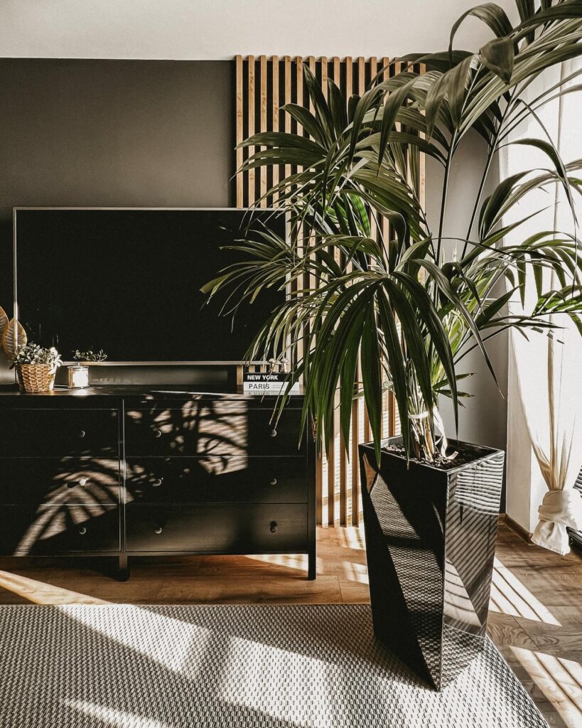 Modern TV Wall Ideas for Every Room 13