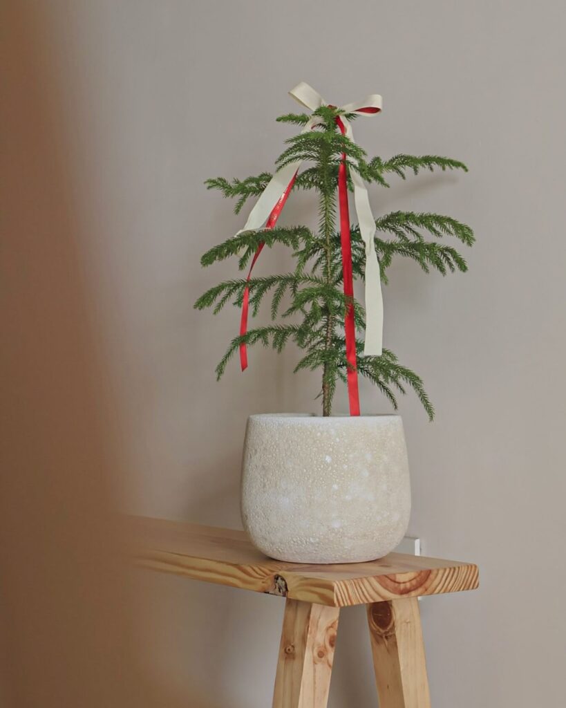 Minimalist Christmas Decor Ideas for a Calm Holiday 2