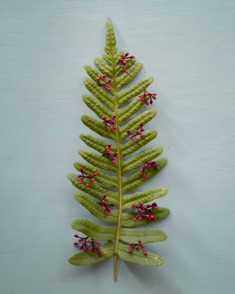 Small Space Christmas Decorating Ideas That Pop 21