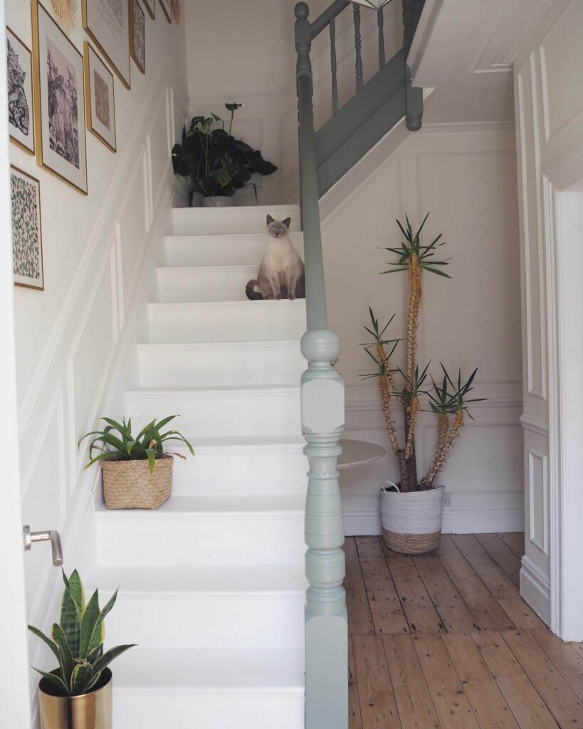Creative Gallery Wall Layouts You’ll Love 24