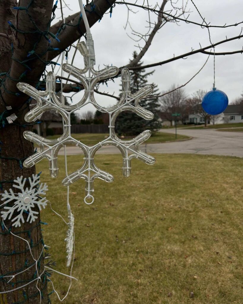 Christmas Yard Decor Ideas That Shine Bright 3