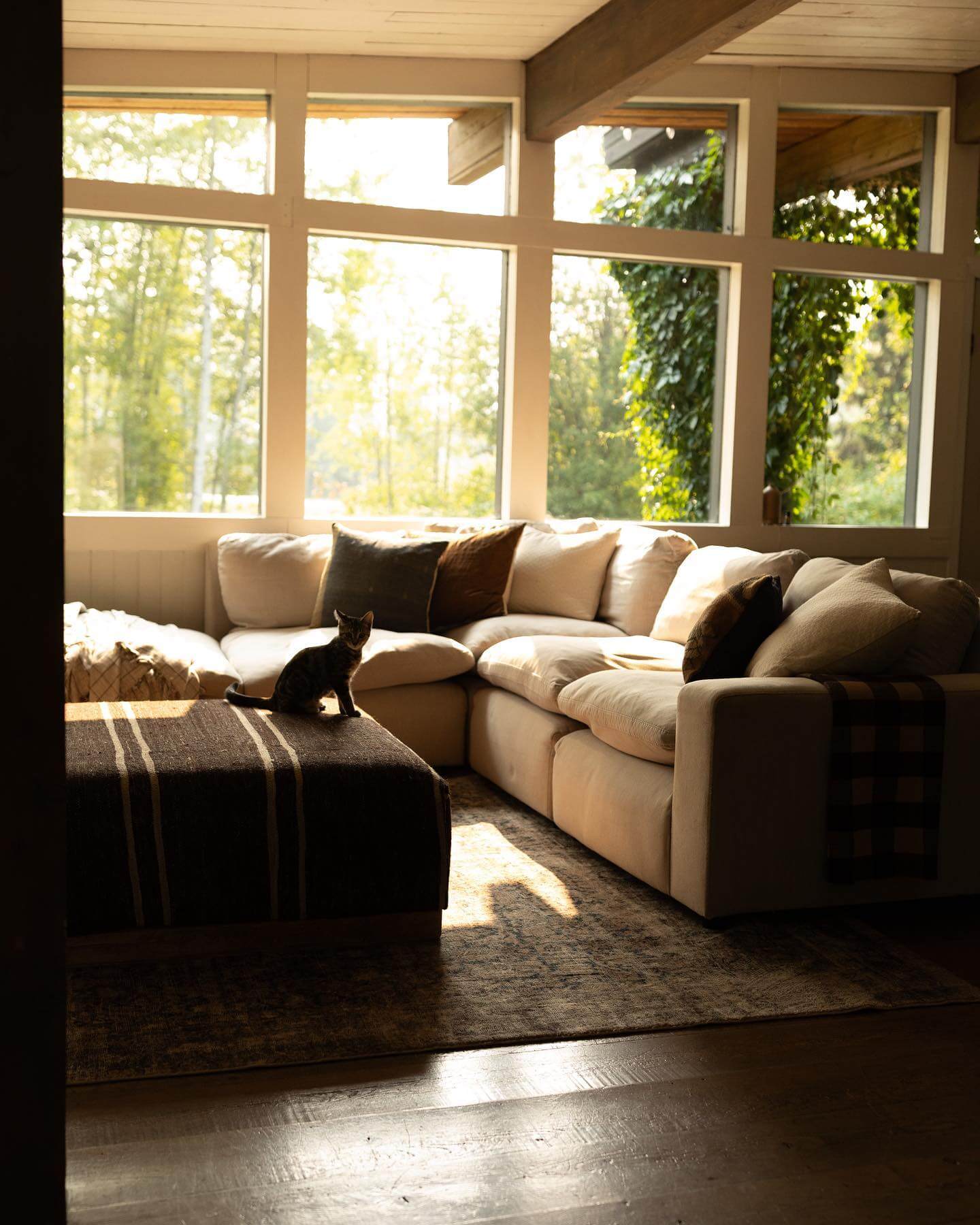 Transform Your Space with Moody Living Room Ideas 14