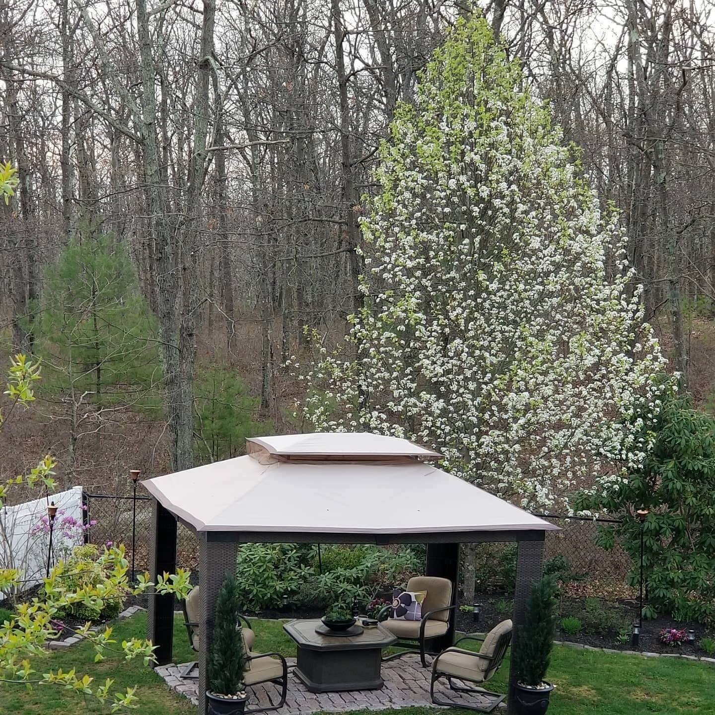 Stunning Backyard Gazebo Ideas to Transform Your Outdoor Oasis 3